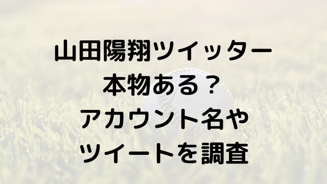 山田陽翔ツイッター本物ある アカウント名やツイートを調査 韓国留学予定の韓国大好き男のブログ